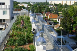 Zelené střechy - Standardy